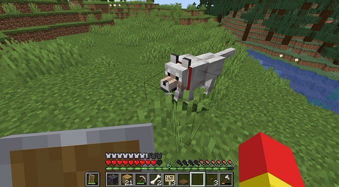 Where To Find Wolves In Minecraft 1.18