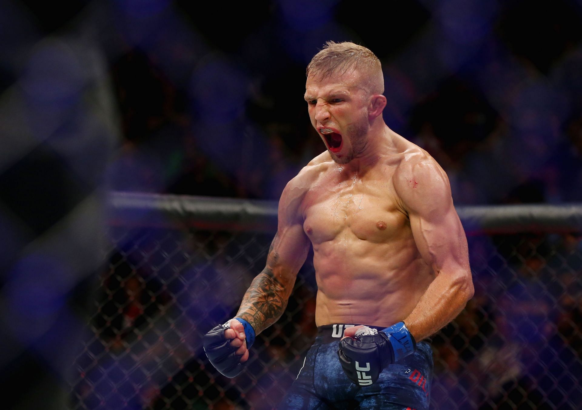 Dillashaw was the runner-up on the 14th season of The Ultimate Fighter