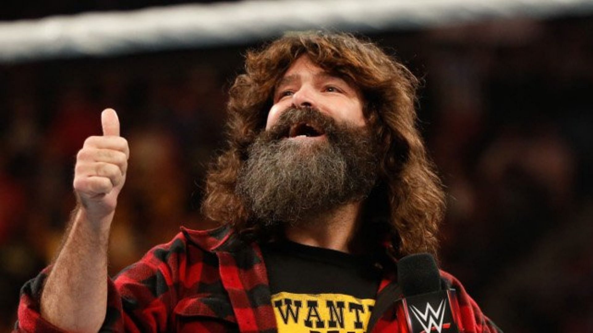 Mick Foley has high praise for a new arrival in AEW