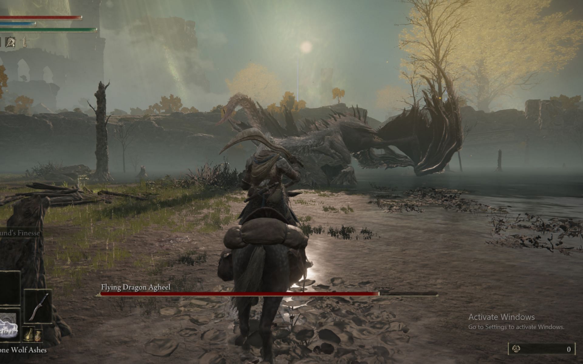 This is the first major dragon fight (Image via FromSoftware)