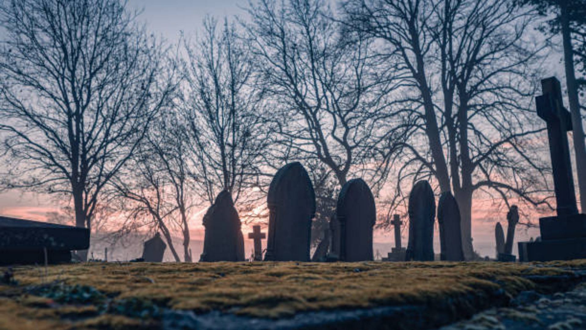 A list of unusual deaths in the history of mankind (Image via Getty Images)