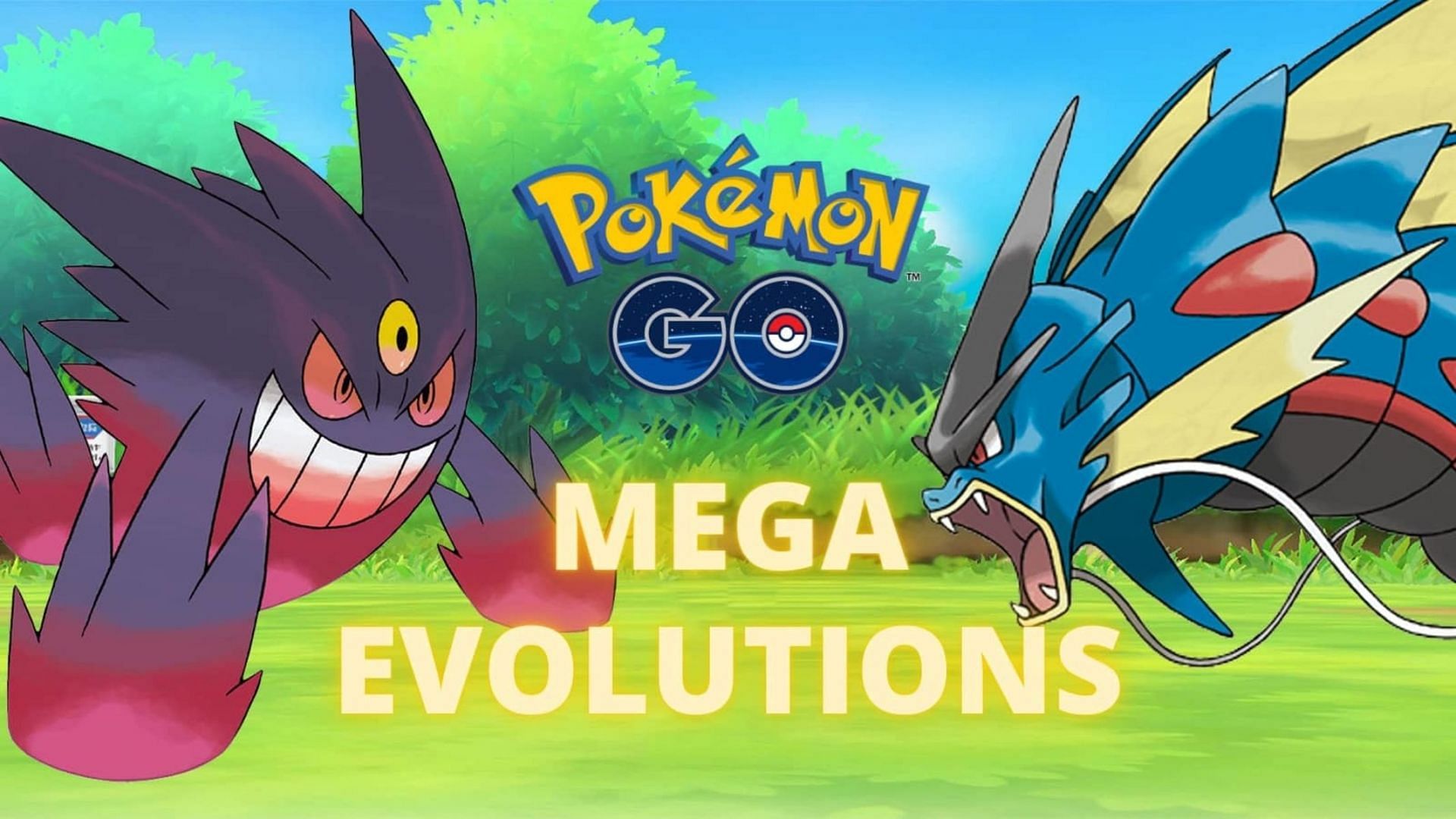I wanted a side-by-side comparison of the new Mega Evolutions and