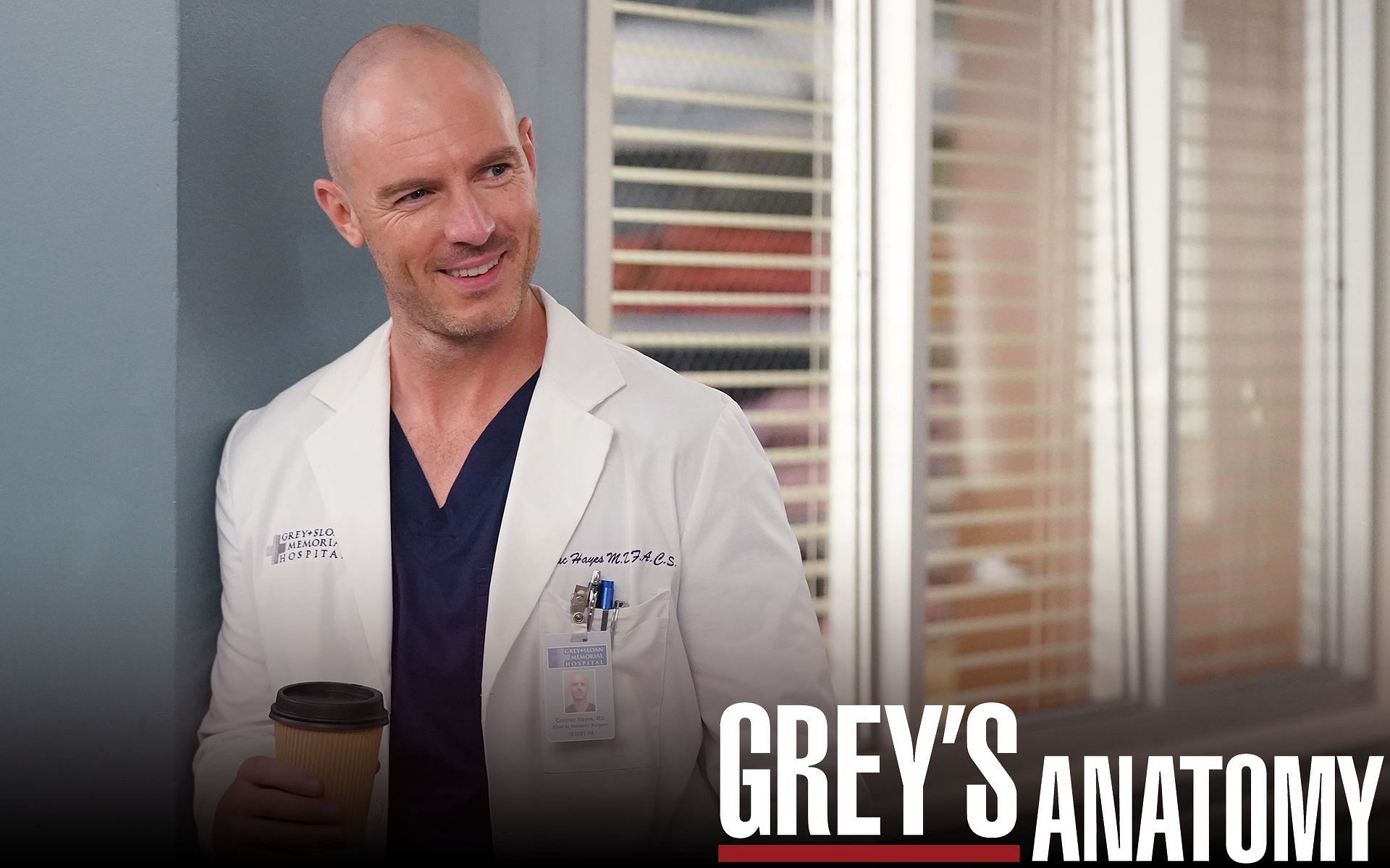 Richard Flood&#039;s Dr Hayes is leaving Grey&#039;s Anatomy after three seasons (Image via ABC)