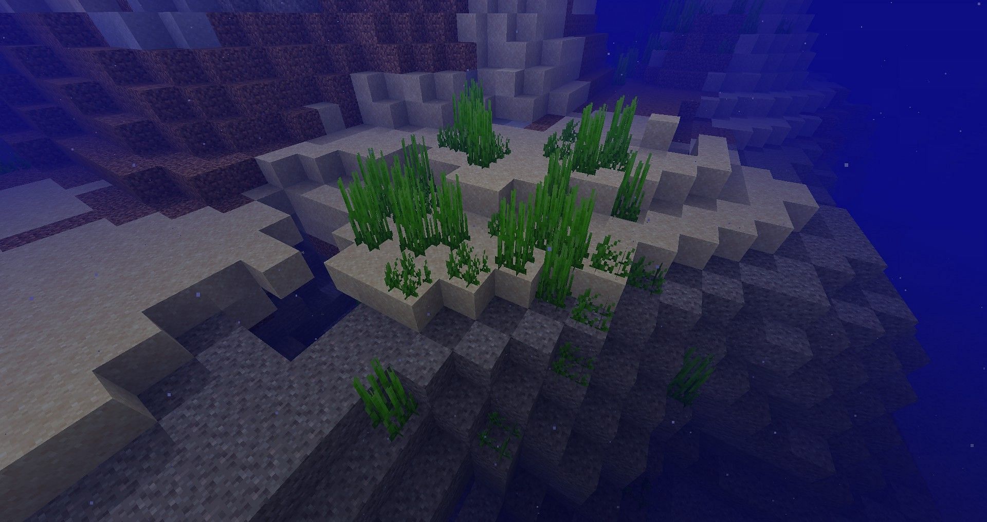 Seagrass (Image via Minecraft Wiki)