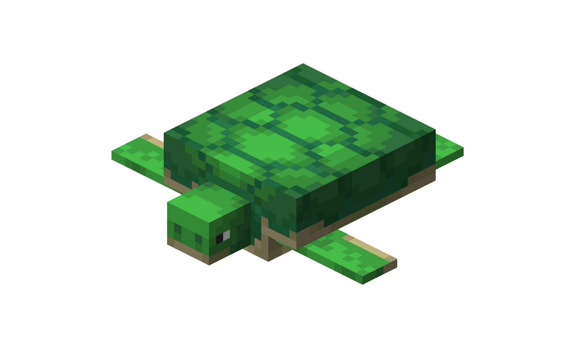 Turtles have a few good uses (Image via Minecraft Wiki)