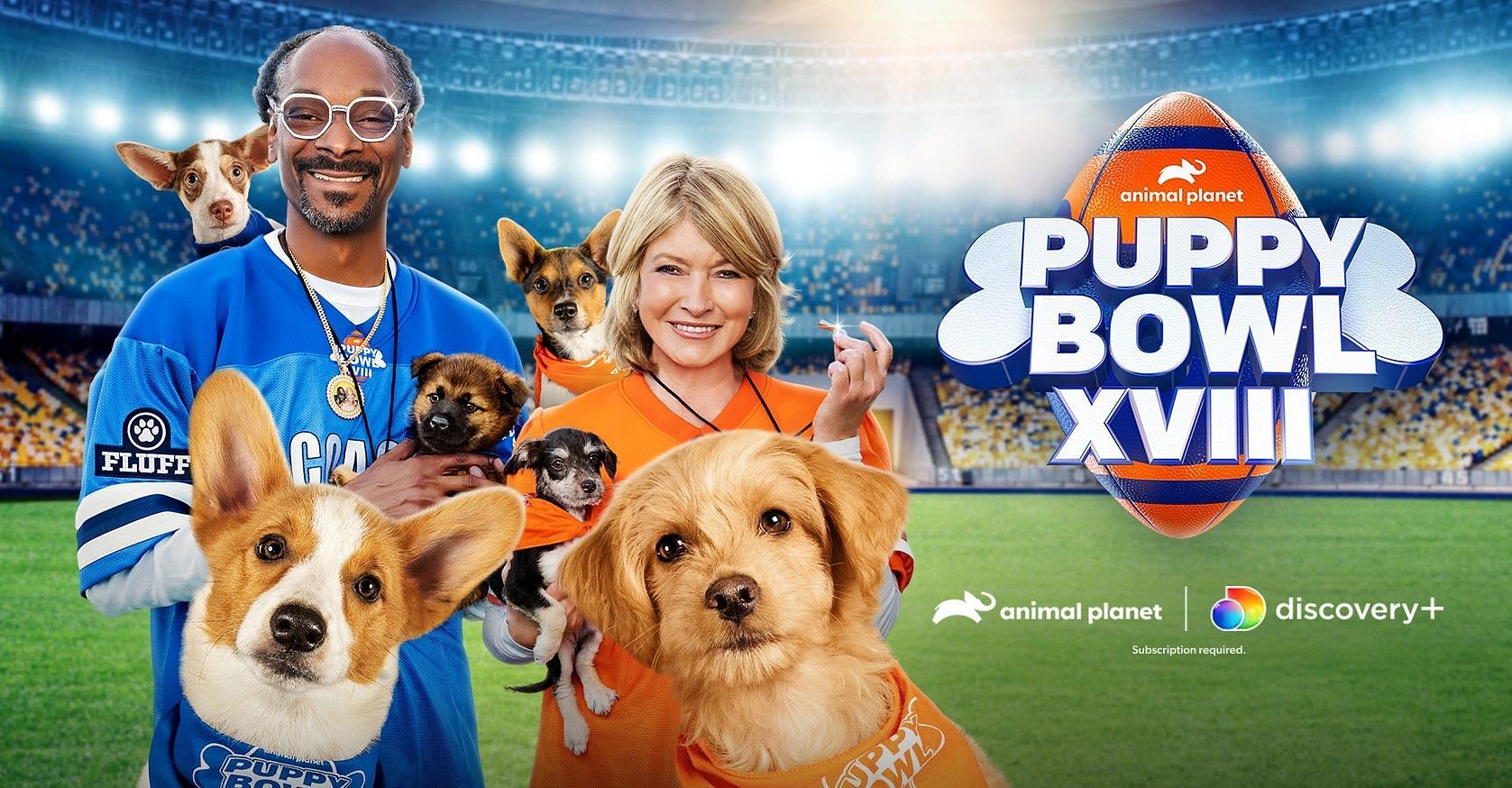 Puppy Bowl returns for its eighteenth year (Image via Facebook/Puppy Bowl)