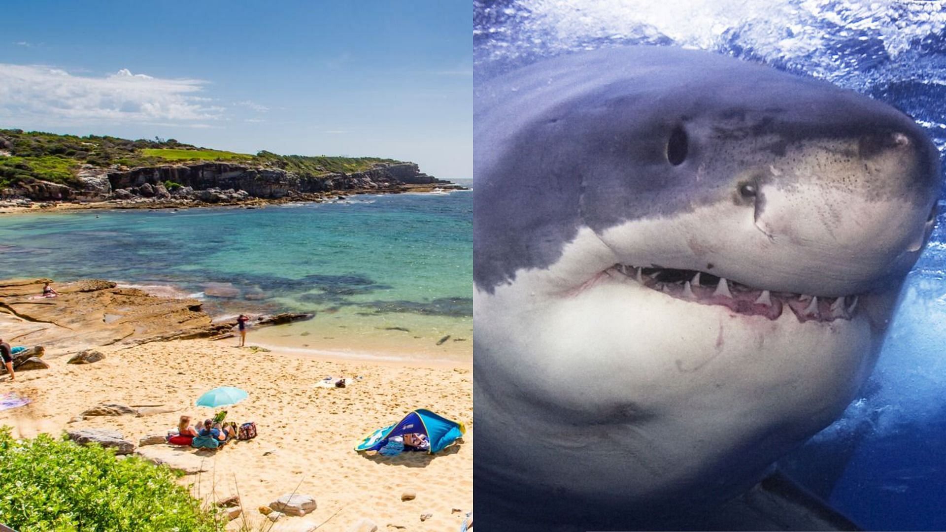 A swimmer recently lost his life in a fatal shark attack on Little Bay Beach in Sydney (Image via Getty Images)
