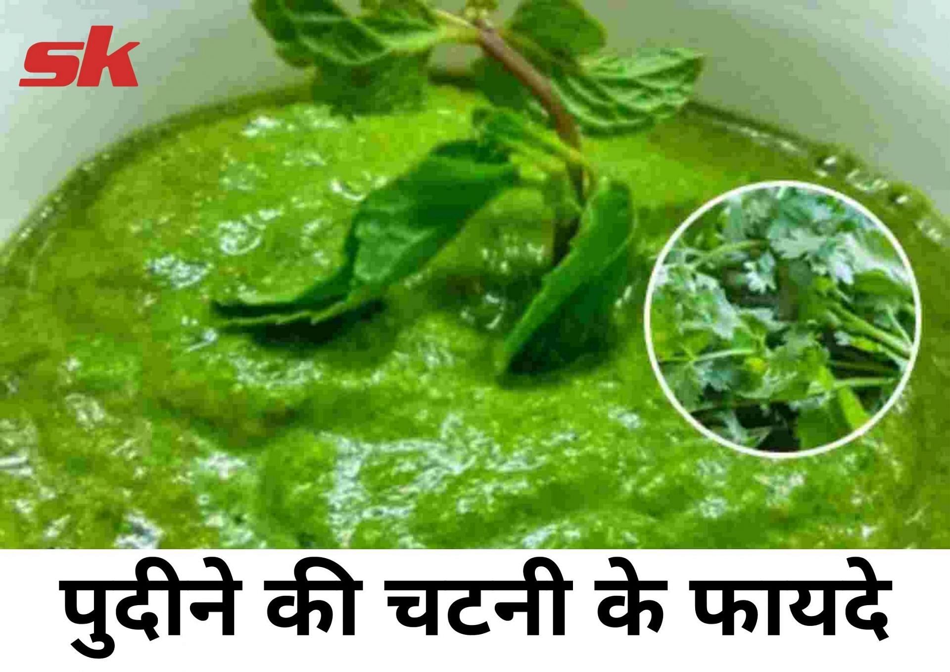 पुदीने की चटनी के फायदे Pudina Ki Chutney Ke Fayde In Hindi