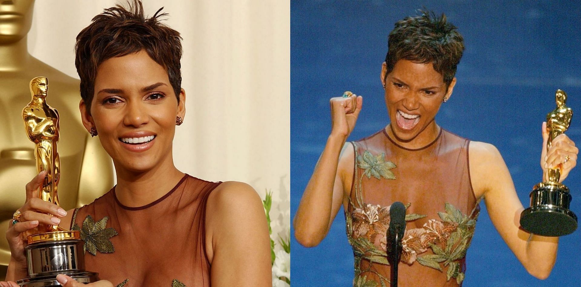 Halle Berry won the Oscar award for Best Actress for the 2001 film &#039;Monster&#039;s Ball&#039; (Image via Frank Micelotta/GettyImages and Timothy A. Clary/Getty Images)