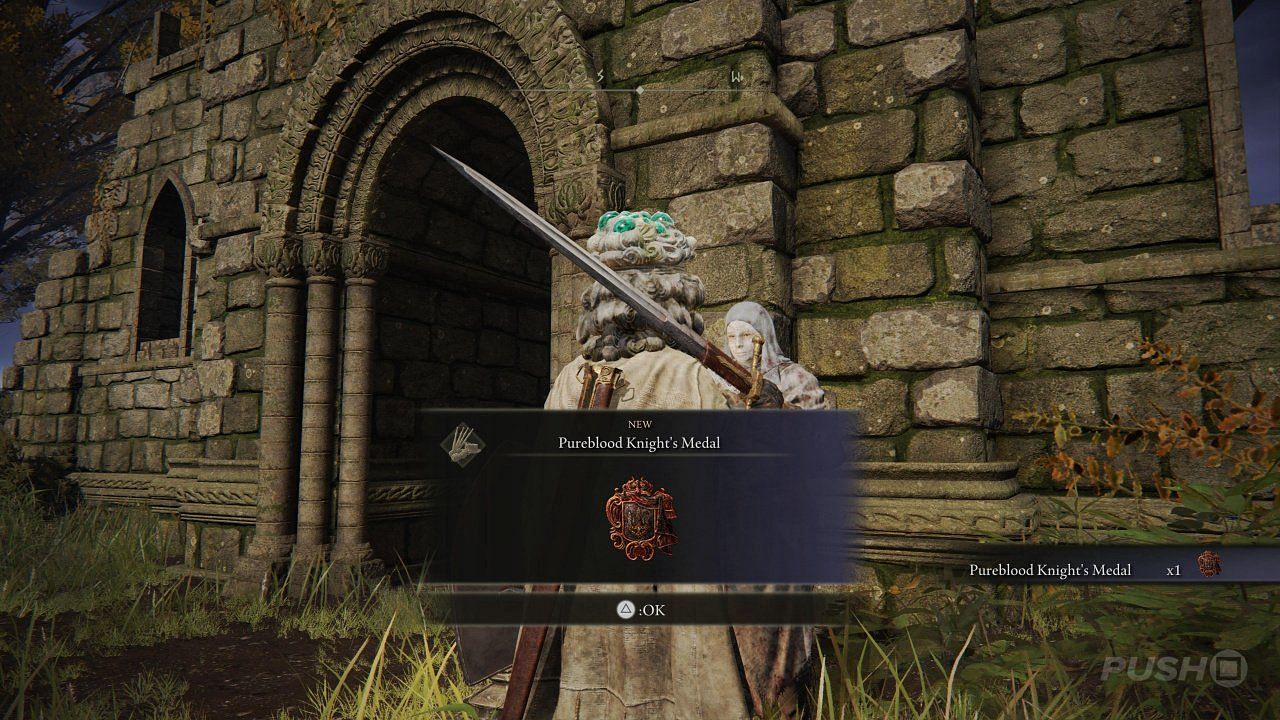 The Pureblood Knight&#039;s Medal is a reward that grants travel to the palace (Image via FromSoftware Inc.)