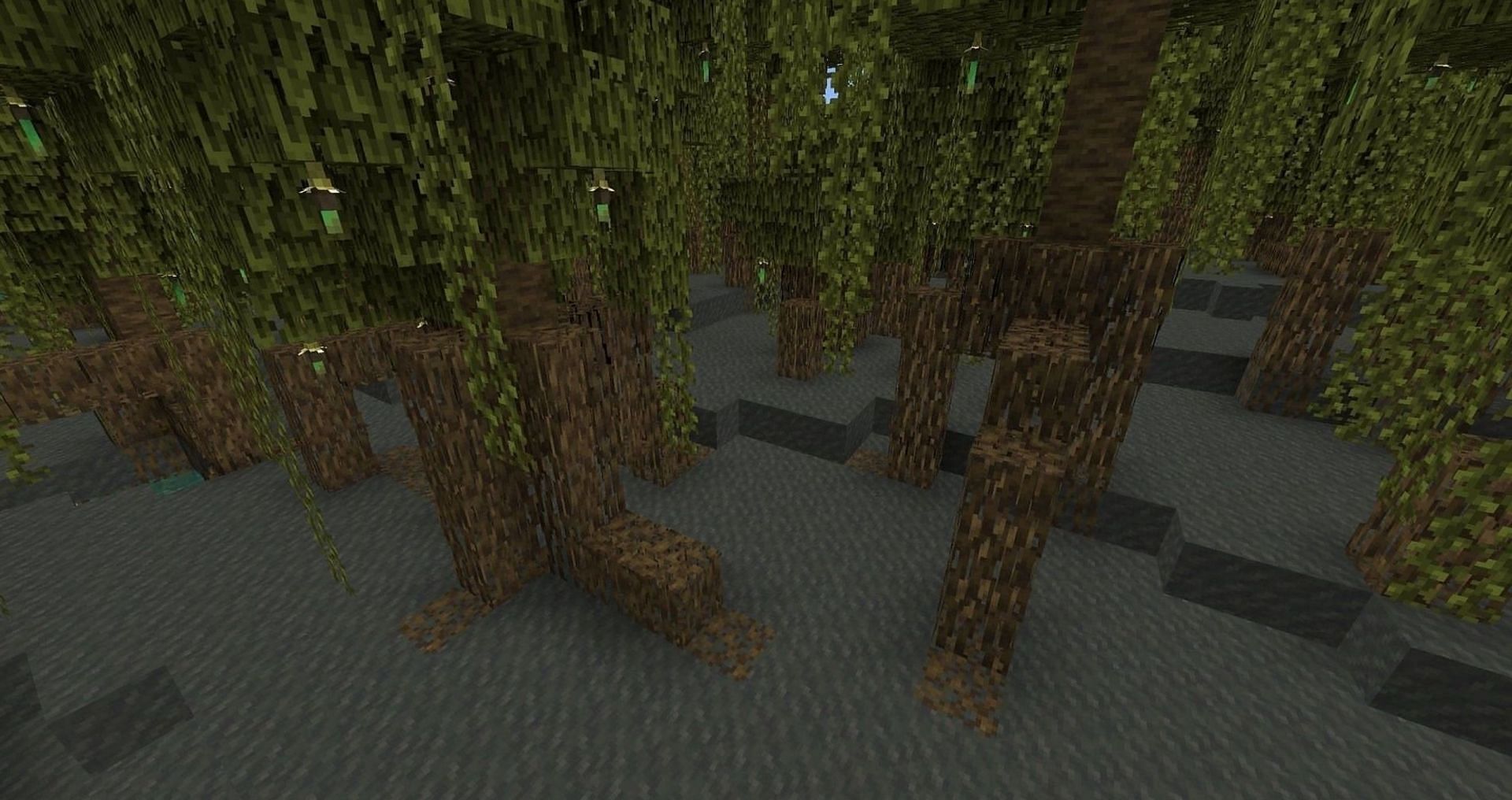 A work in progress generation of a mangrove swamp (Image via Mojang)