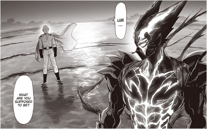 Saitama vs Garou Manga Panel Chapter 162  One punch man manga, One punch  man, One punch man anime