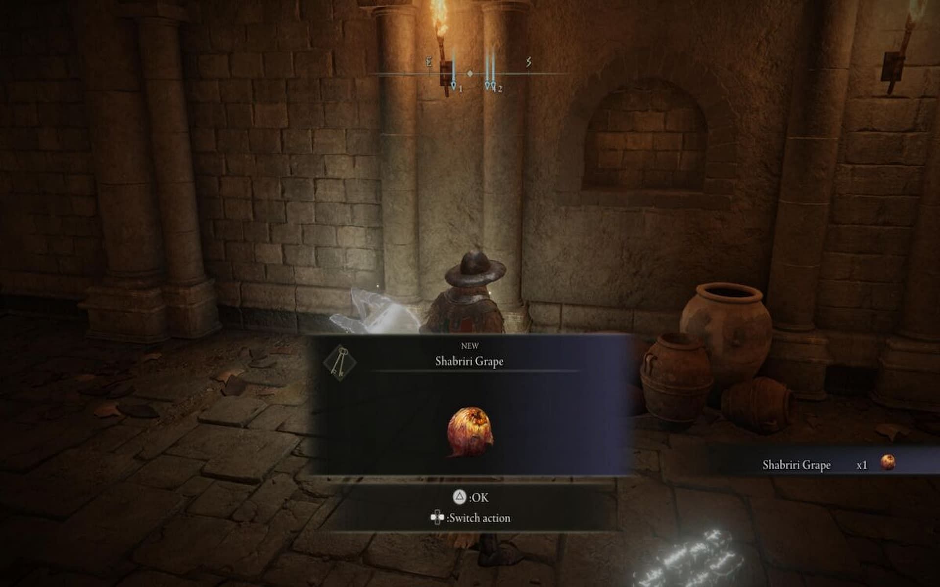 A player has come across a Shabriri Grape in Elden Ring (Image via FromSoftware Inc.)