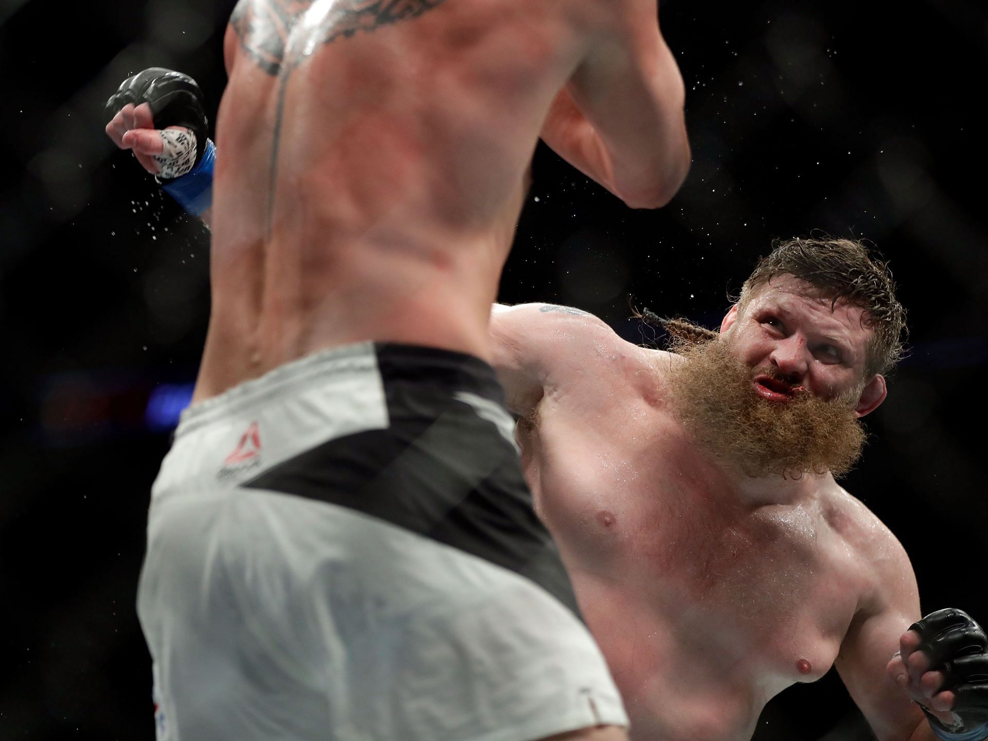 Roy Nelson with powerful shots