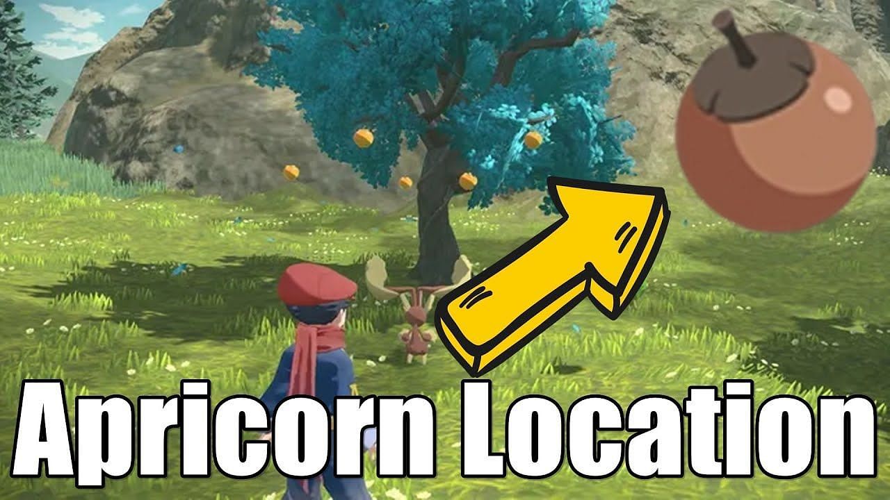 A player collecting Apricorns in Pokemon Legends: Arceus (Image via The Pokemon Company/FP Good Game on YouTube)