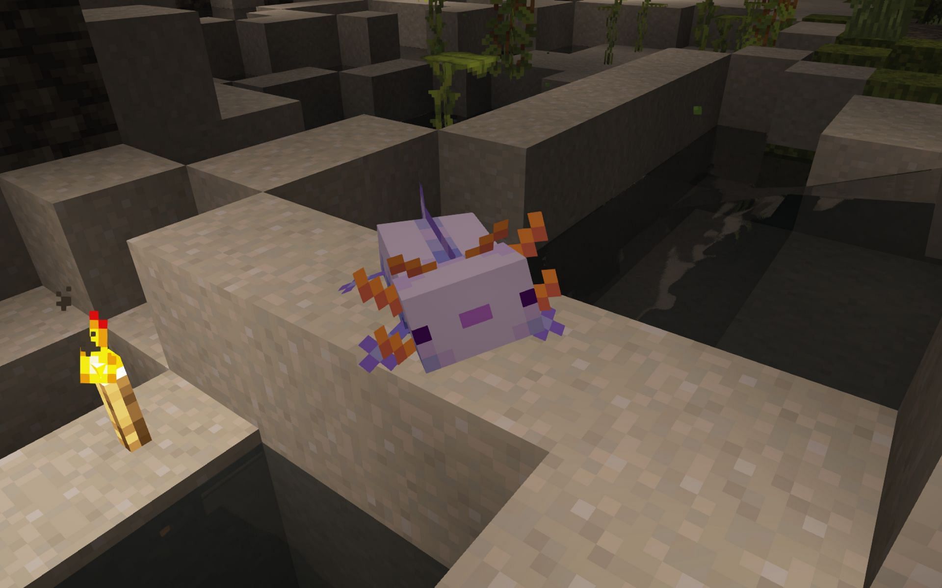 Rare blue Axolotl (Image via Minecraft)
