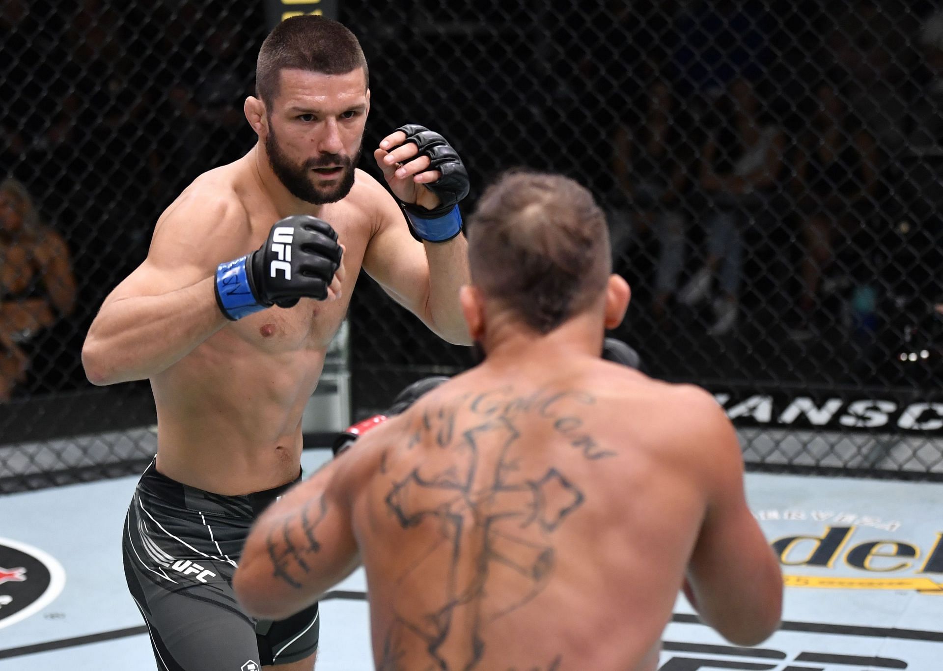 Fight Night: Jeremy Stephens vs. Mateusz Gamrot