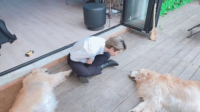 does jimin have a dog