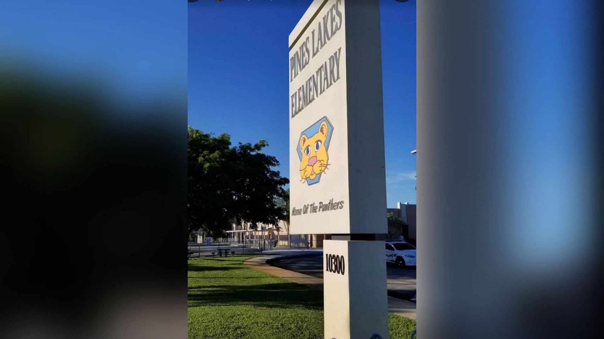 A Florida teacher was attacked by a 5-year-old student, which led her to be hospitalized after the incident (Image via Facebook/ Stacey B. Gottlieb)