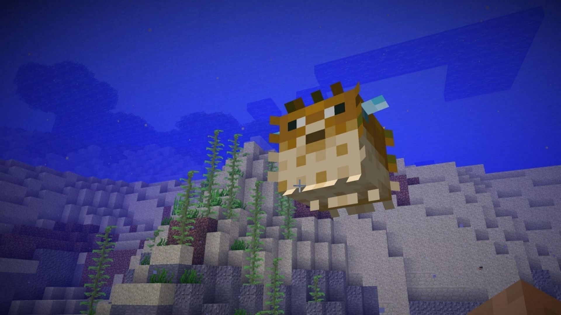 A pufferfish inflating to defend itself (Image via Mojang)