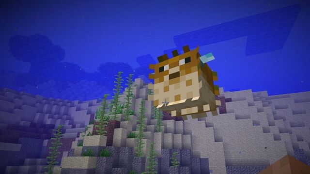 5 things players don't know about pufferfish in Minecraft