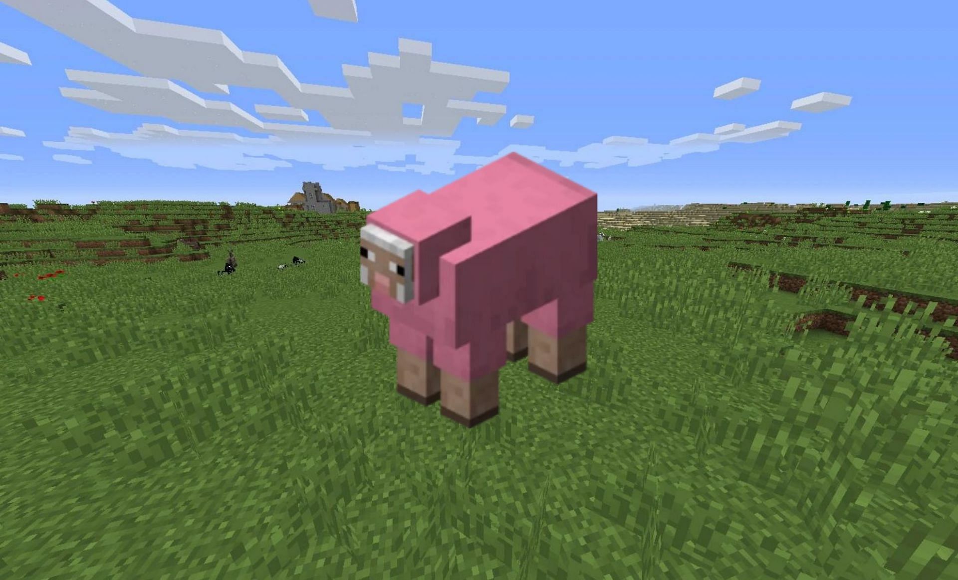 Pink sheep (Images via Minecraft Wiki)