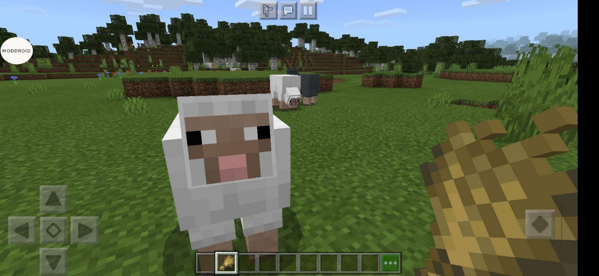 Sheep like wheat (Image via Mojang)