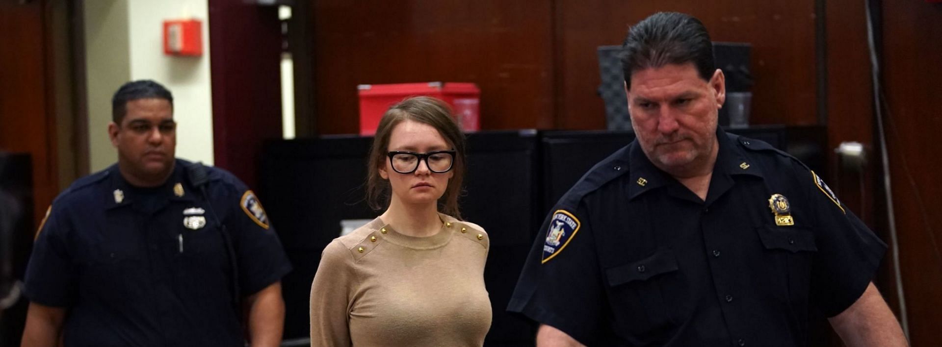 Anna Delvey was arrested in 2017 on charges of grand larceny and theft of services (Image via Timothy A. Clary/Getty Images)