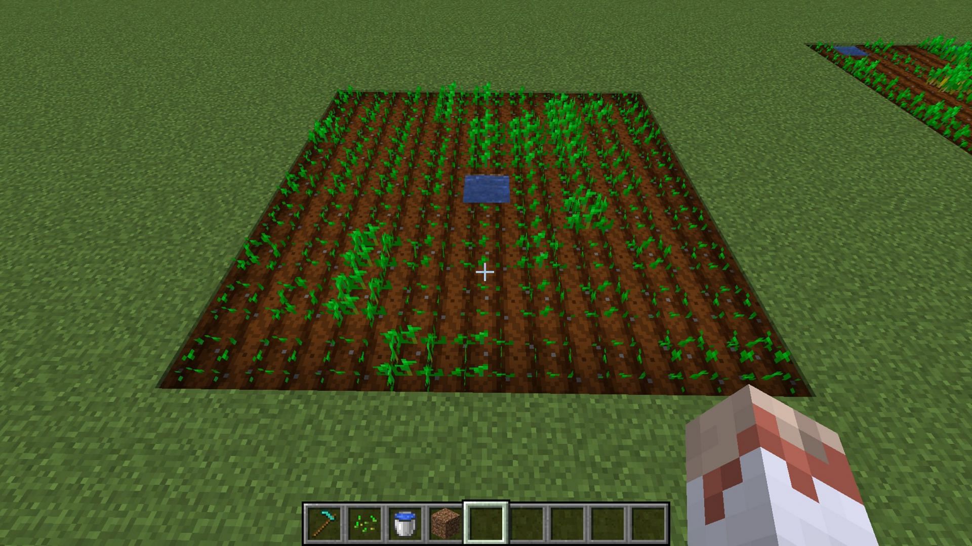 A basic farm plot created by a player (Image via u/Thattiguy/Reddit)
