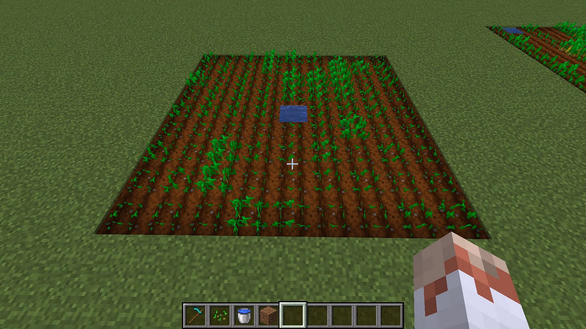 how-to-plant-seeds-in-minecraft