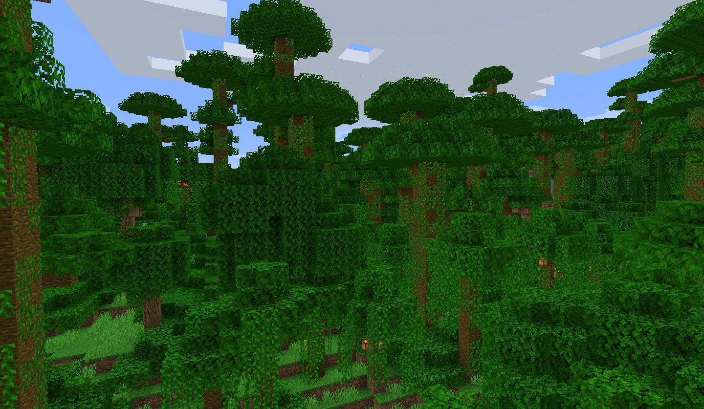 Jungle biome (Image via Minecraft Wiki)