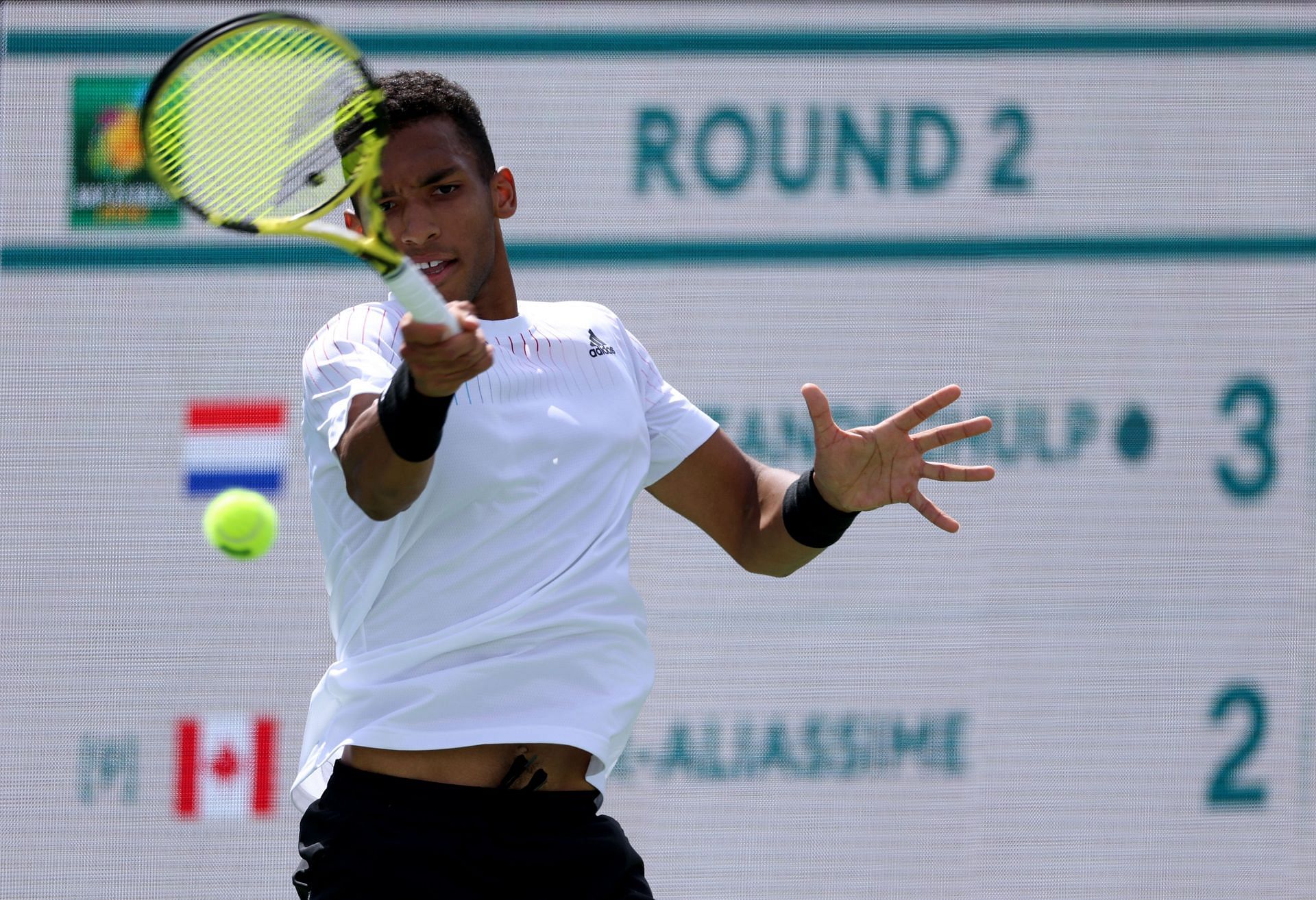 Felix Auger-Aliassime has won 11 out of 14 matches so far this season