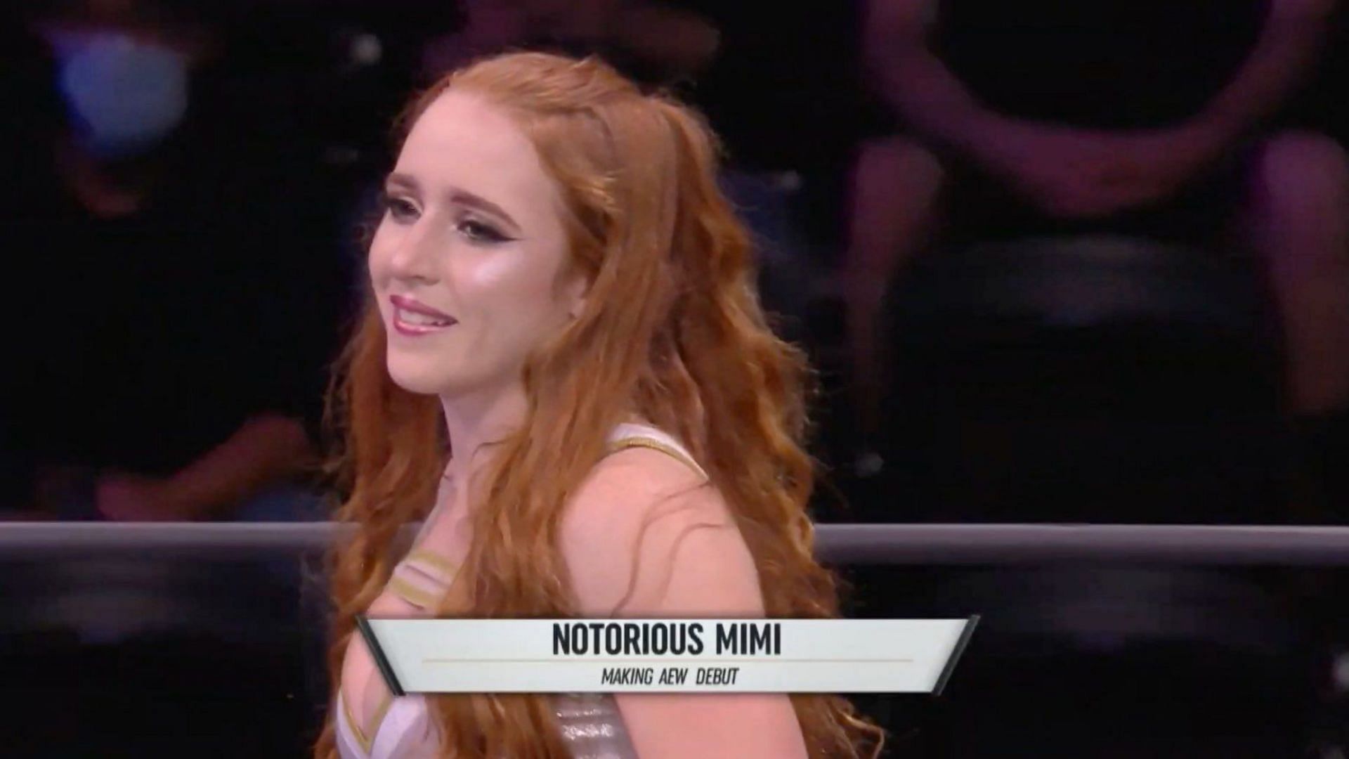 Amelia Herr competed in a few AEW matches