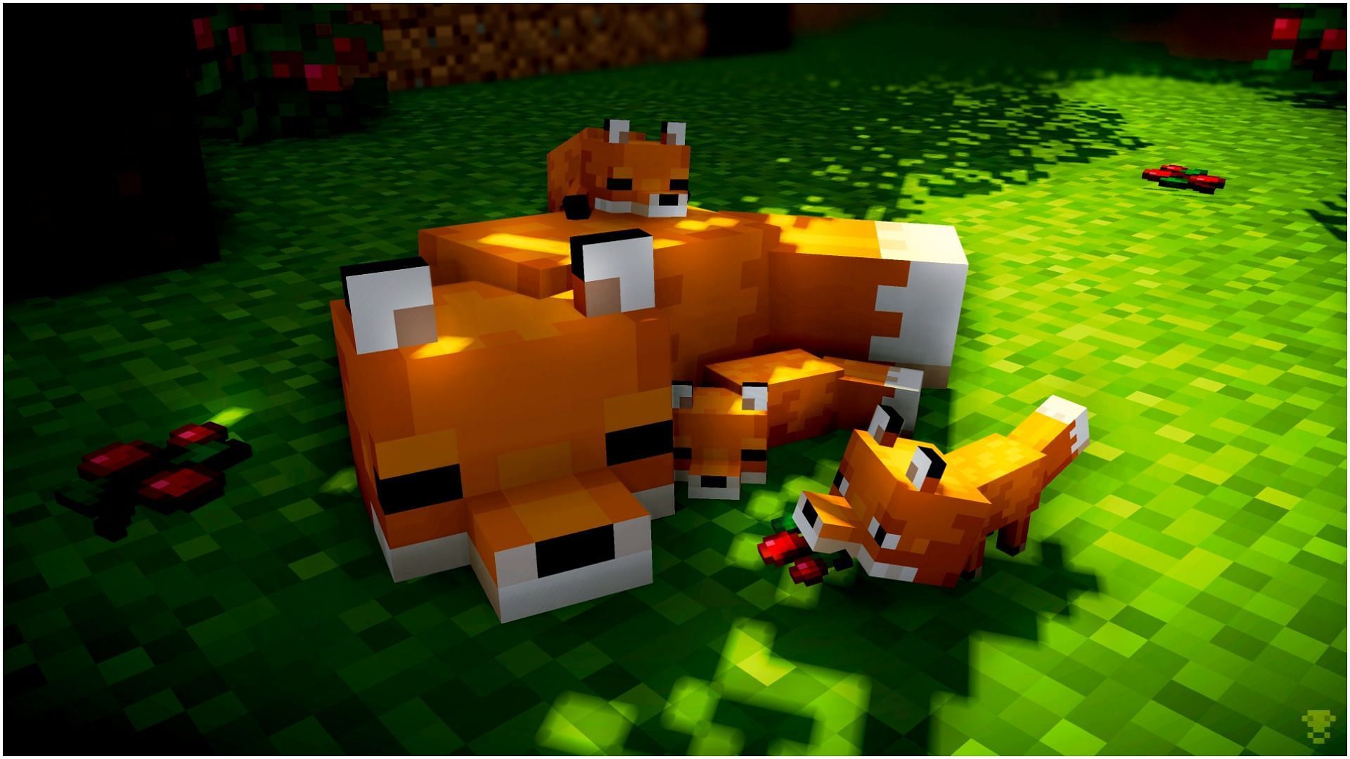 Foxes in Minecraft (Image via WallapaperAccess)