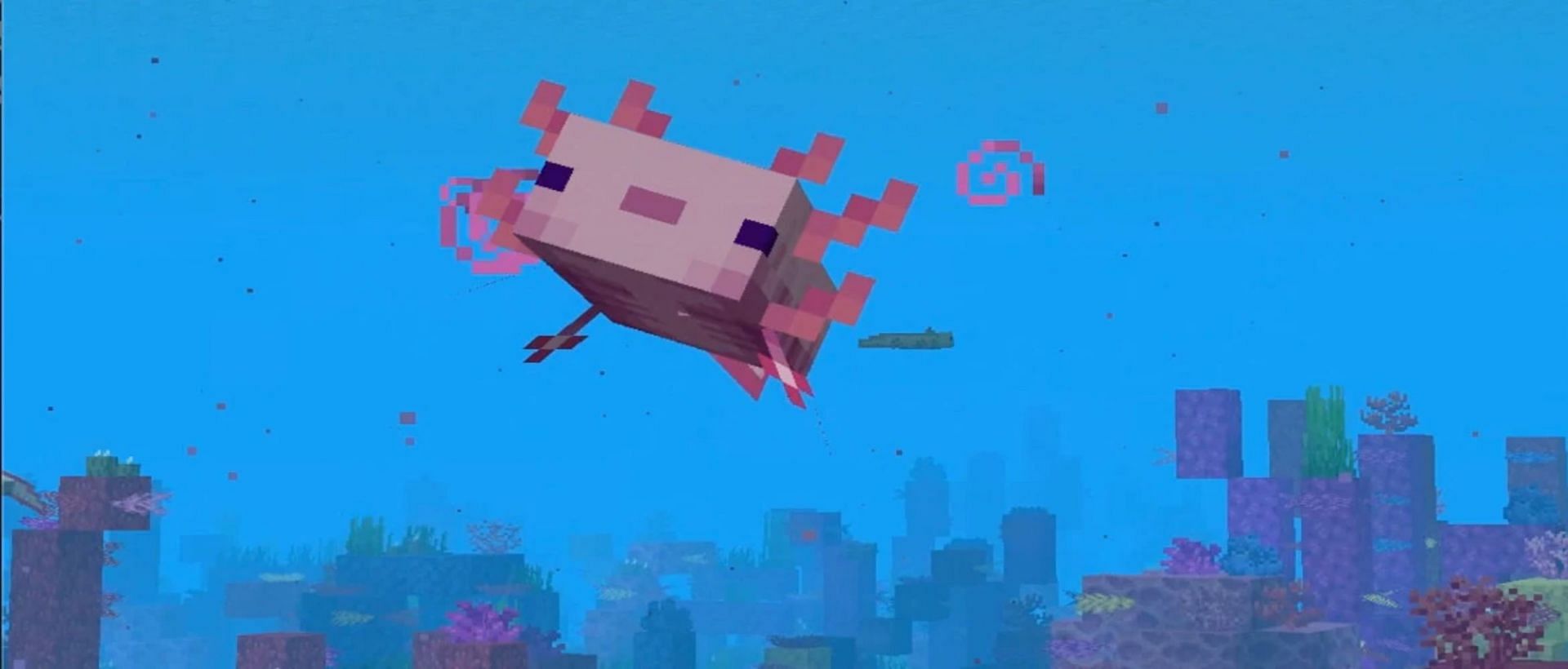 Axolotls provide benefits in combat for underwater players (Image via Mojang)