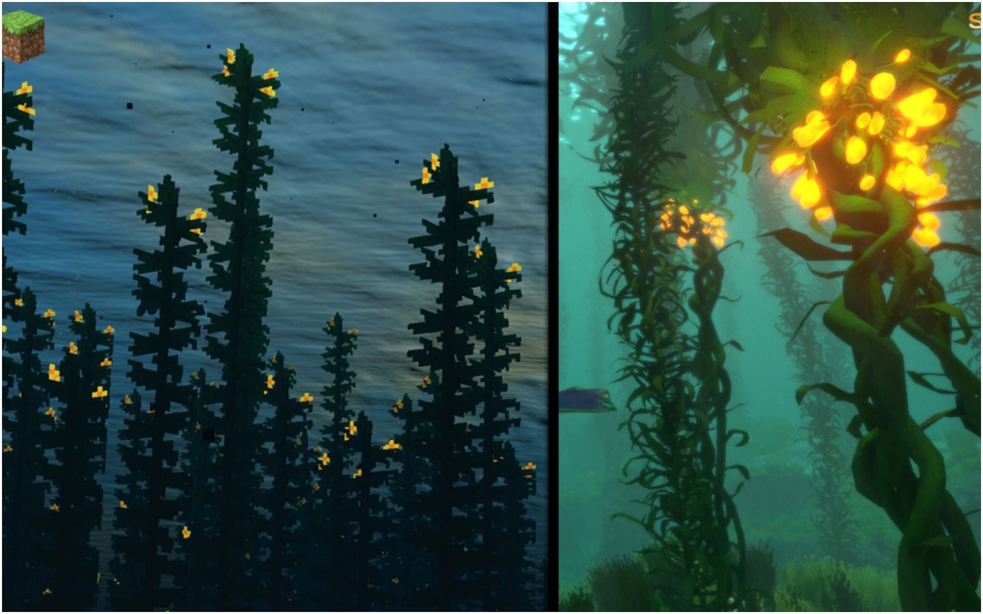 Minecraft Redditor Remakes Kelp From Subnautica