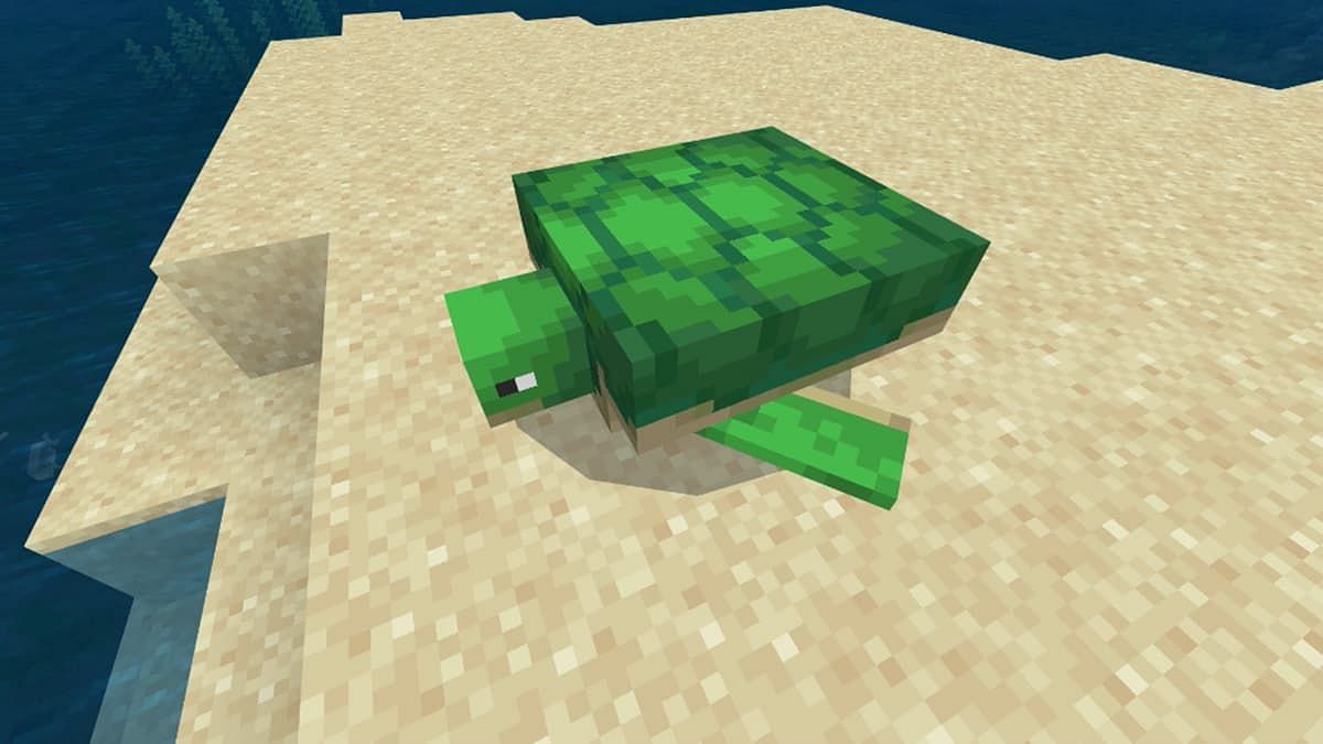 A turtle is inside the aquarium (Image via Mojang)