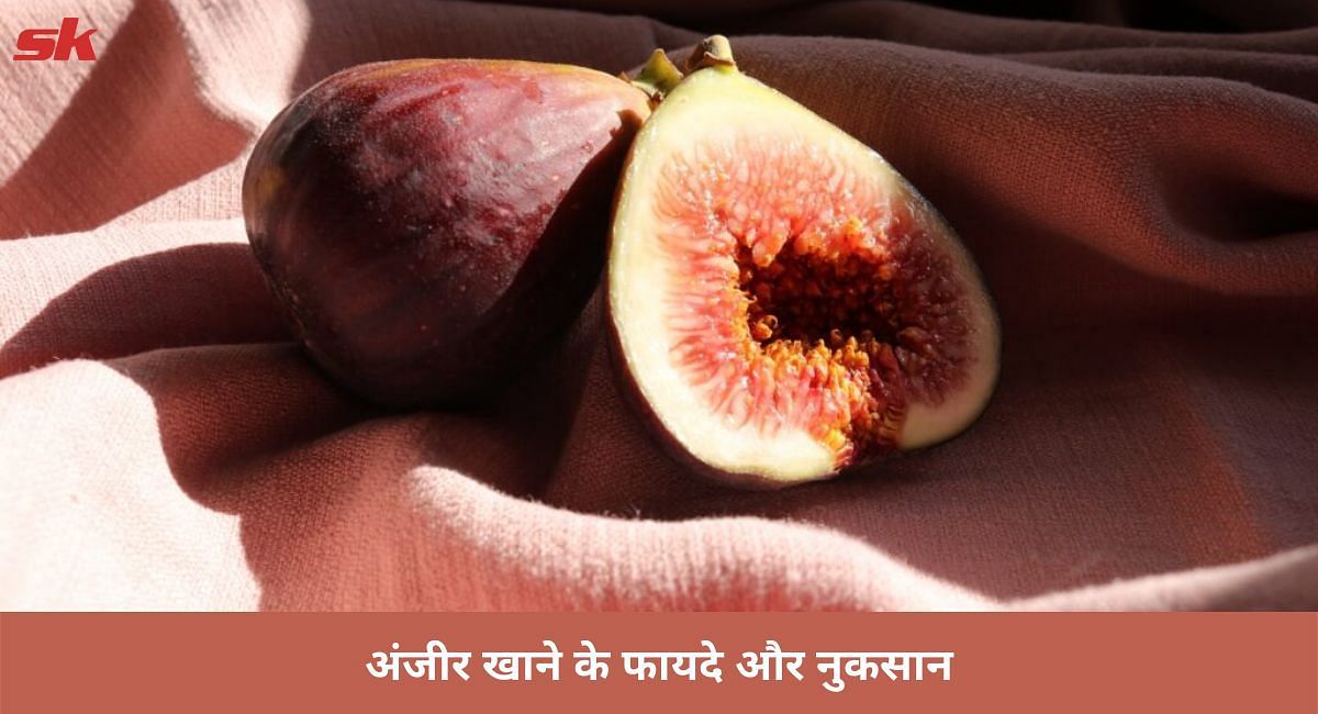 अंजीर खाने के फायदे और नुकसान(फोटो-Sportskeeda hindi)