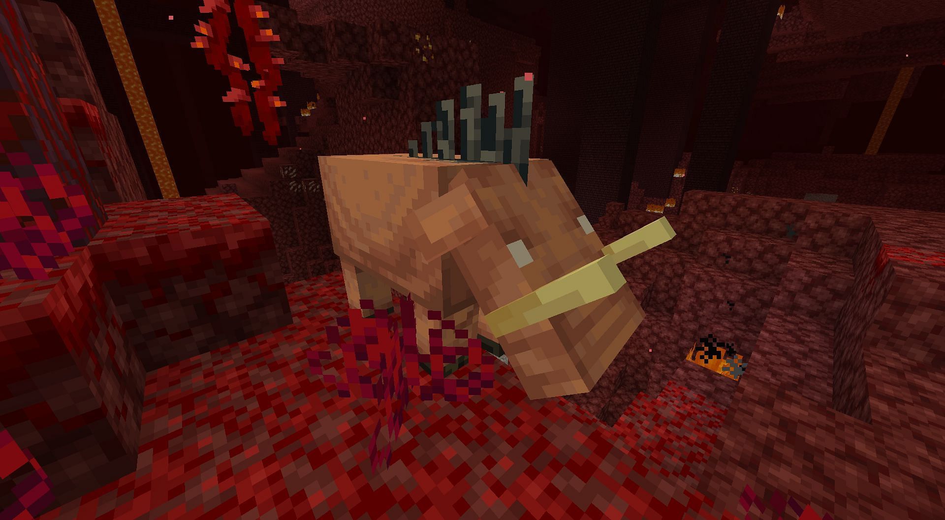 Hoglins (Image via Minecraft)