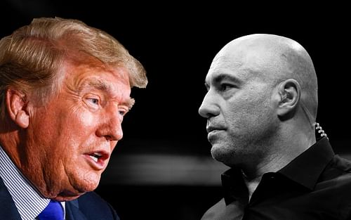 Donald Trump weighs in on Joe Rogan's controversy