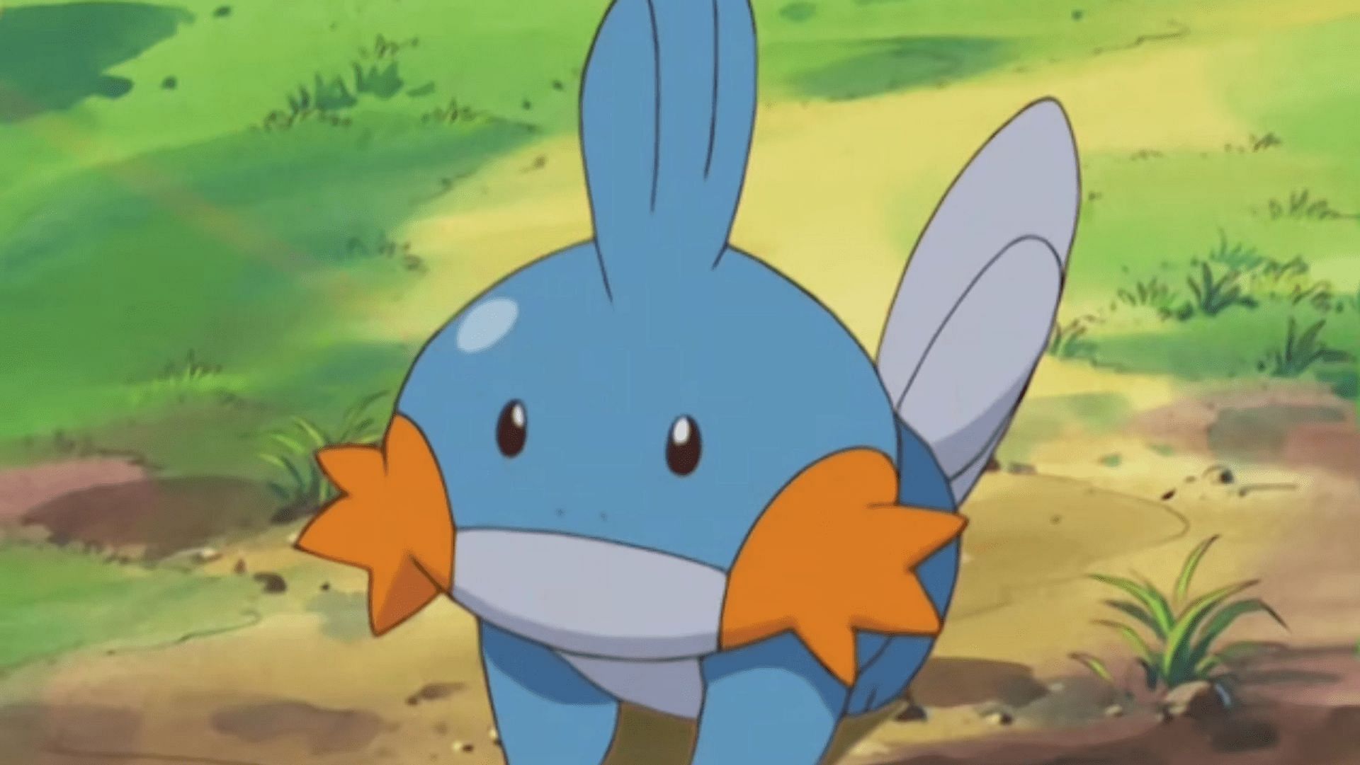 Mudkip as it appears in the anime (Image via The Pokemon Company)