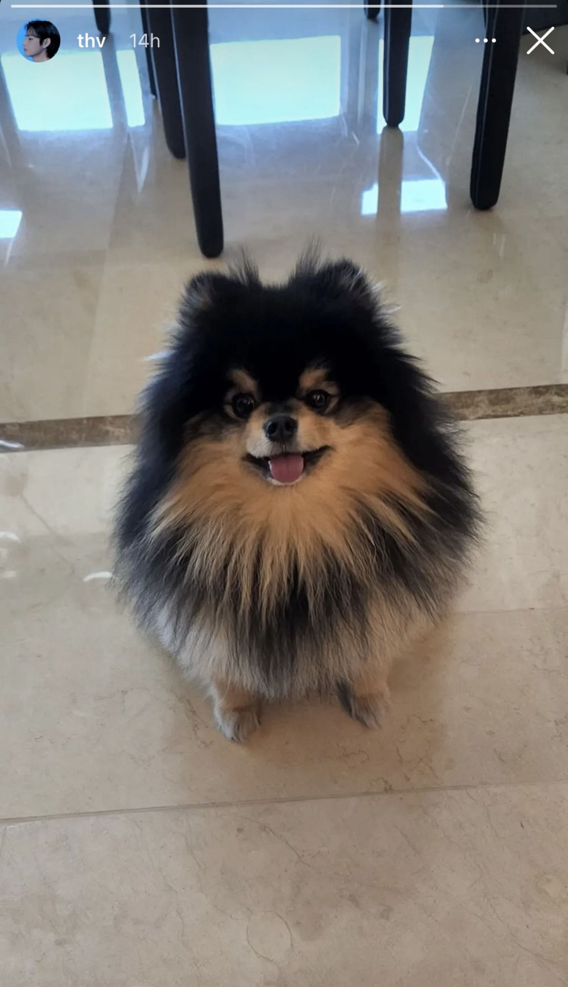 Latest update picture of Yeontan (Image via Instagram/thv)