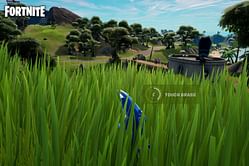 The Fortnite player whose record made the community ask him to 'go touch grass'