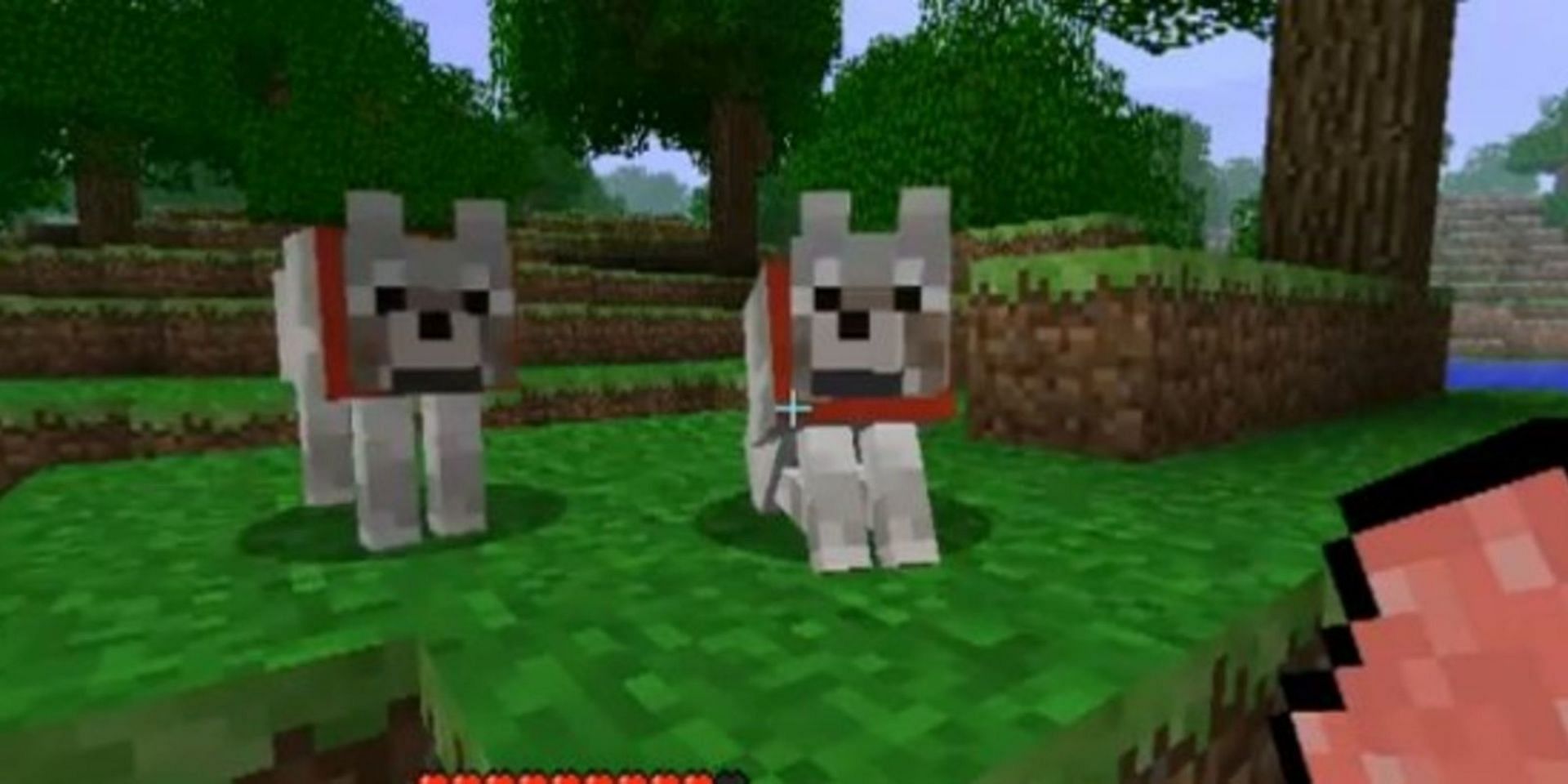 Wolves will protect players who tame them (Image via Mojang)