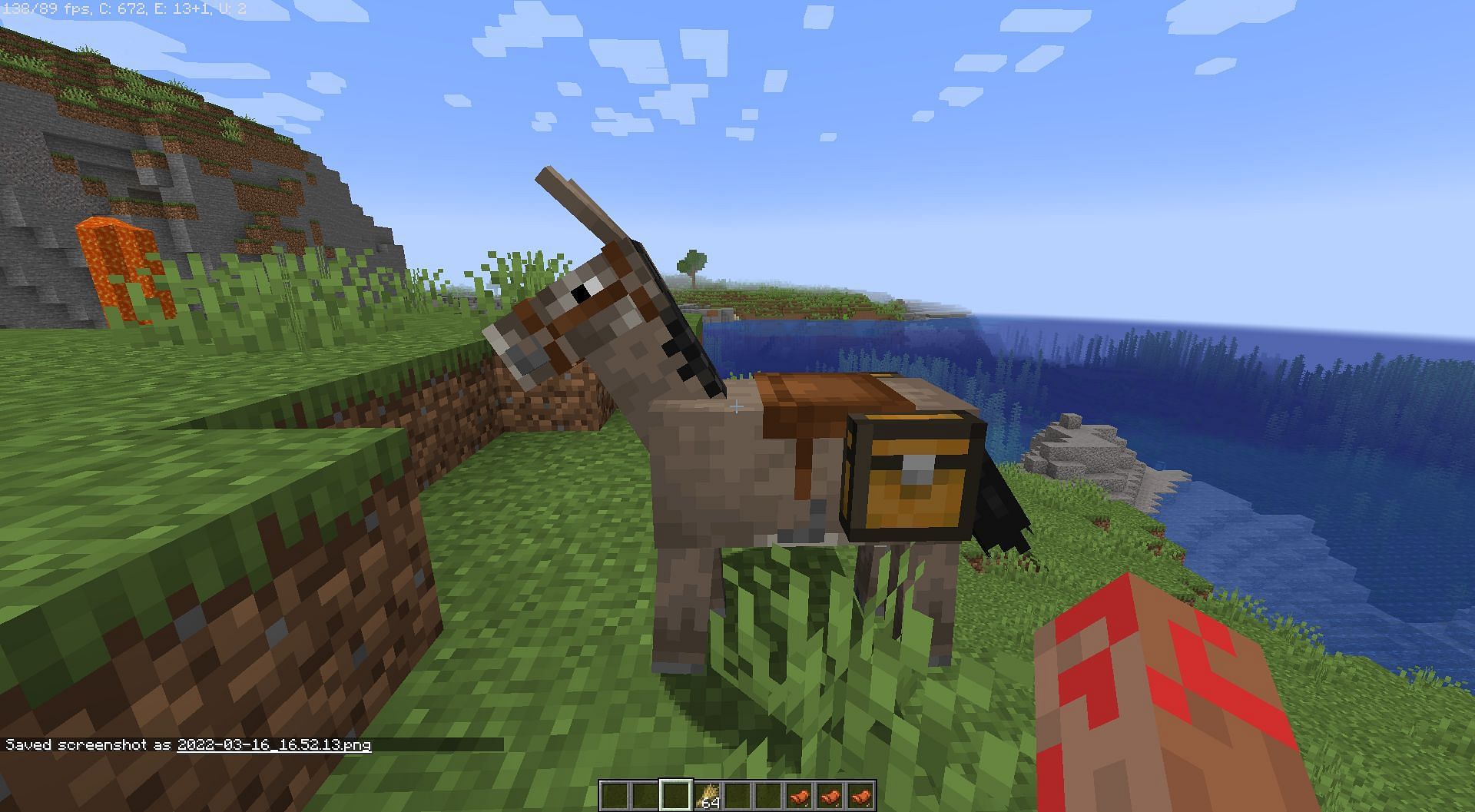 Donkeys can be ridden with a chest (Image via Mojang)