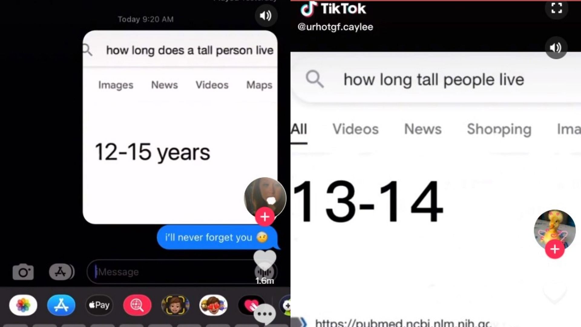 Users prank their tall friends with the "how long does a tall person live" meme (Images via youregonnabealr/TikTok and urhotgf.caylee/TikTok)