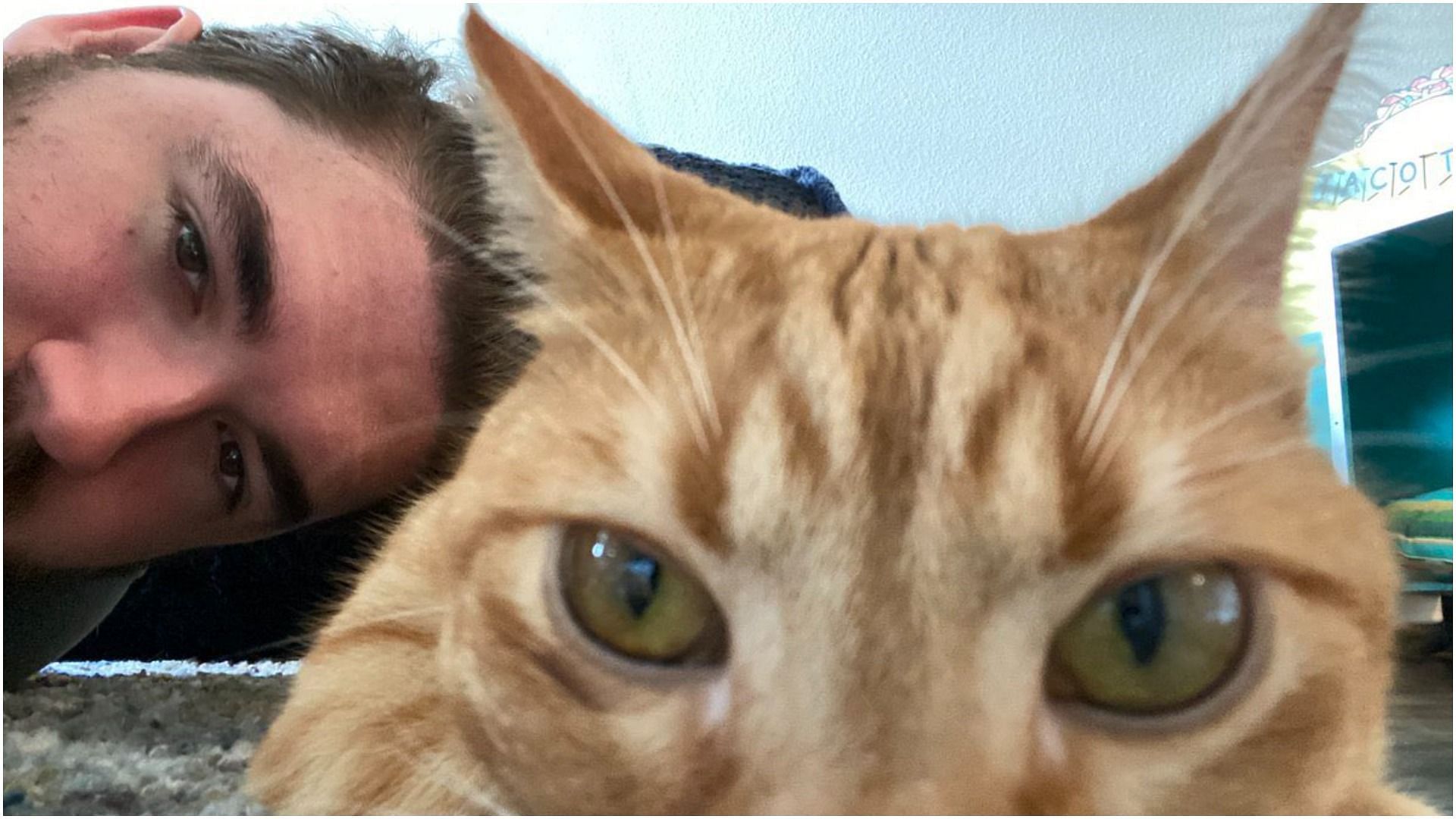 Jschlatt and his cat Jambo (Image via Twitter jschlatt)