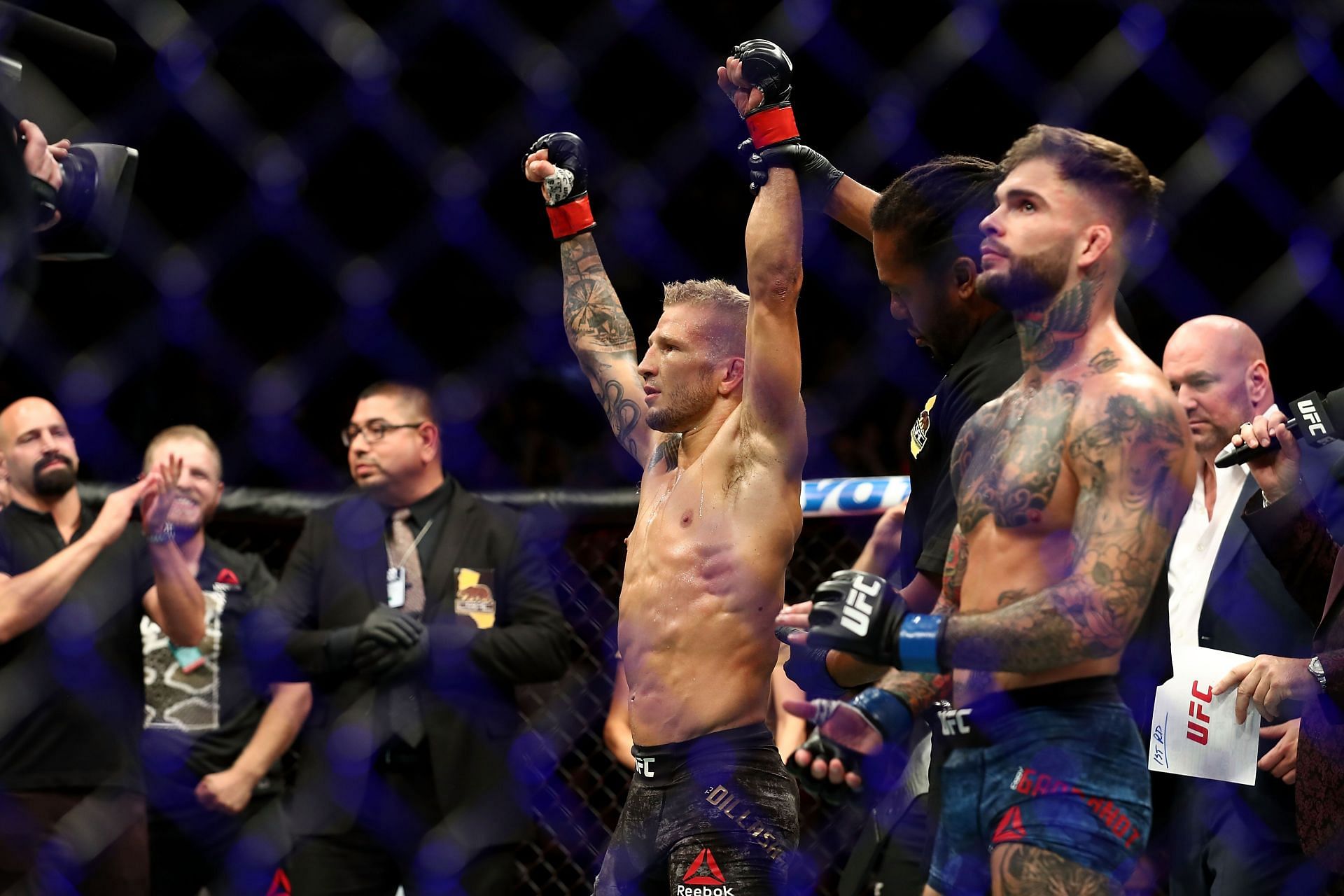 Dillashaw v Garbrandt 2 (bantamweight championship )