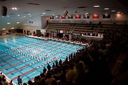 Swiss Swimming Federation threatens to boycott world championships if Russian, Belarusian athletes participate