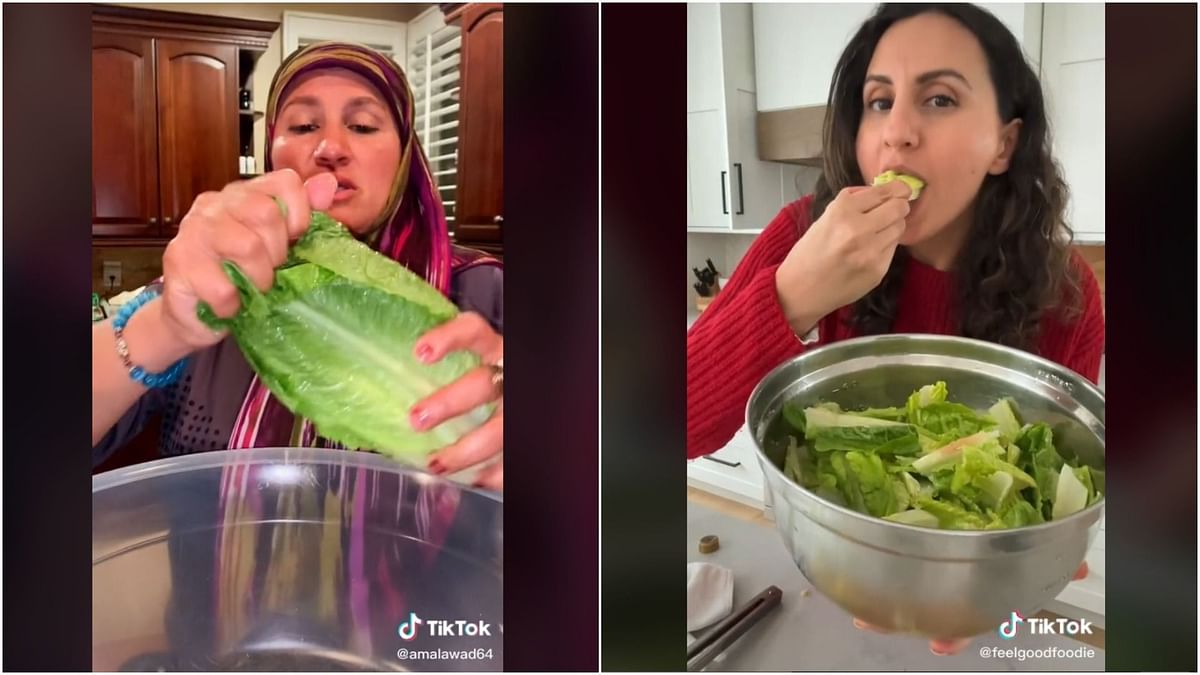 What are TikTok's lettuce chips? Netizens slam viral healthy snack for ...